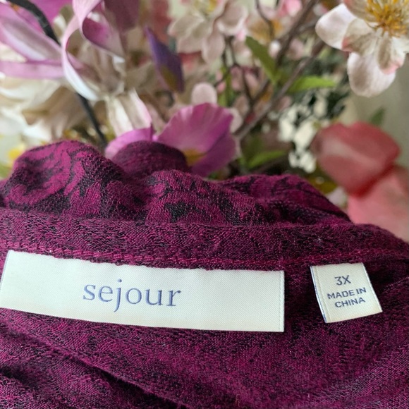 •Sejour• Sheer Lace Print Long Sleeve Burgundy Top - Size 3X - Picture 2 of 9